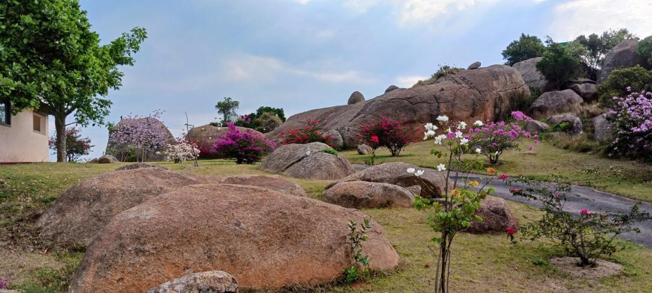 Mdzimba Mountain Lodge เอซูลวินิ ภายนอก รูปภาพ