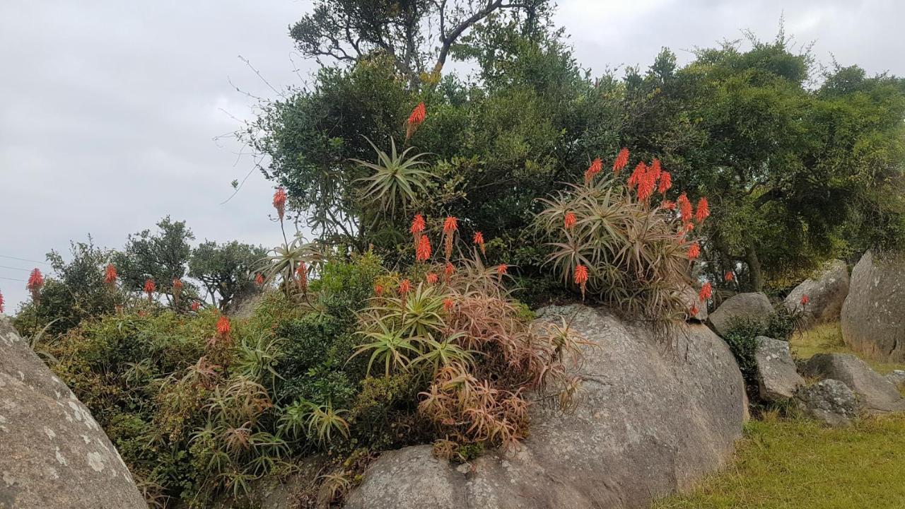 Mdzimba Mountain Lodge เอซูลวินิ ภายนอก รูปภาพ